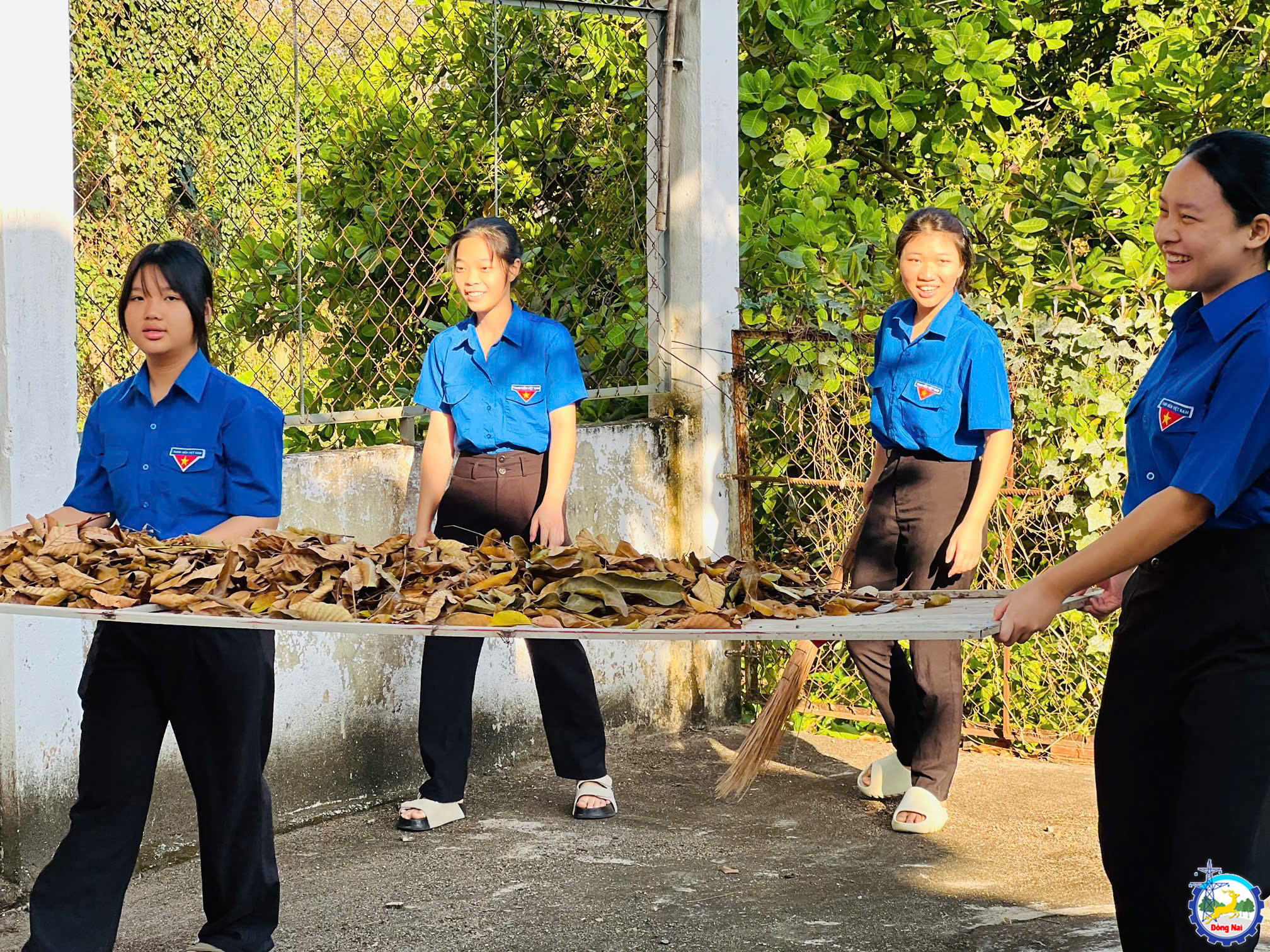 z7466405652773 425660a7a760f6892e7e8c1464d612c5