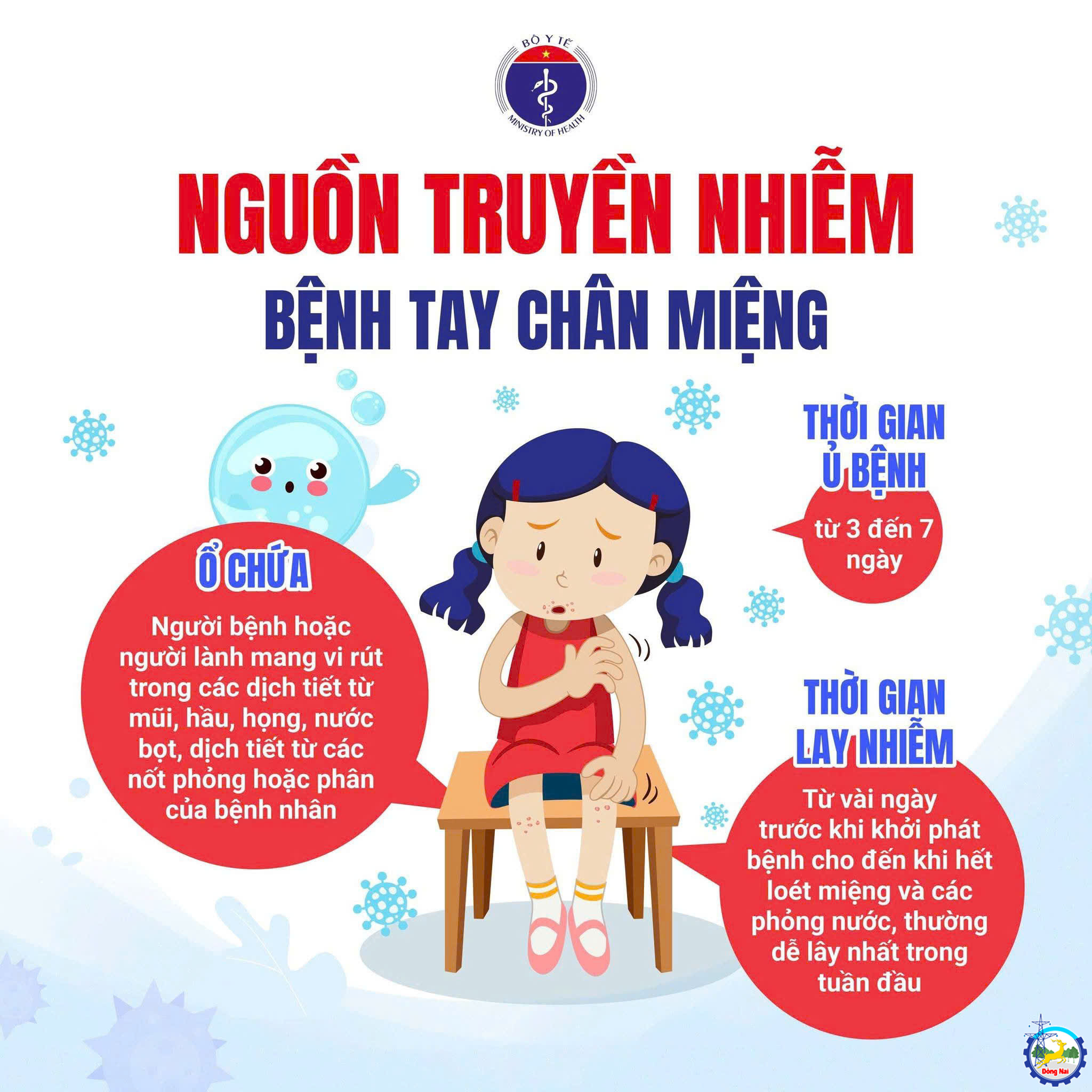 2613602535637285572 (1)