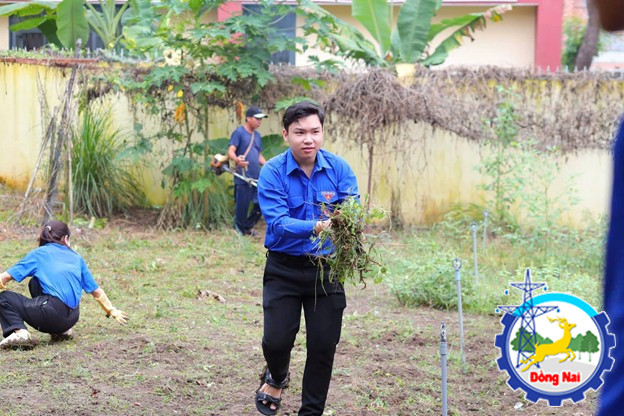 don dep vs truong hoc 1