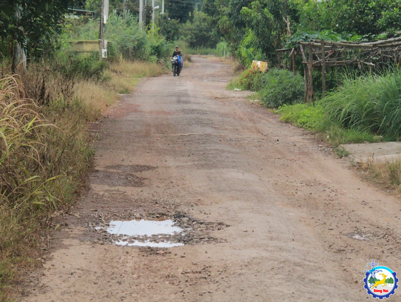 khao sat duong phuong 6