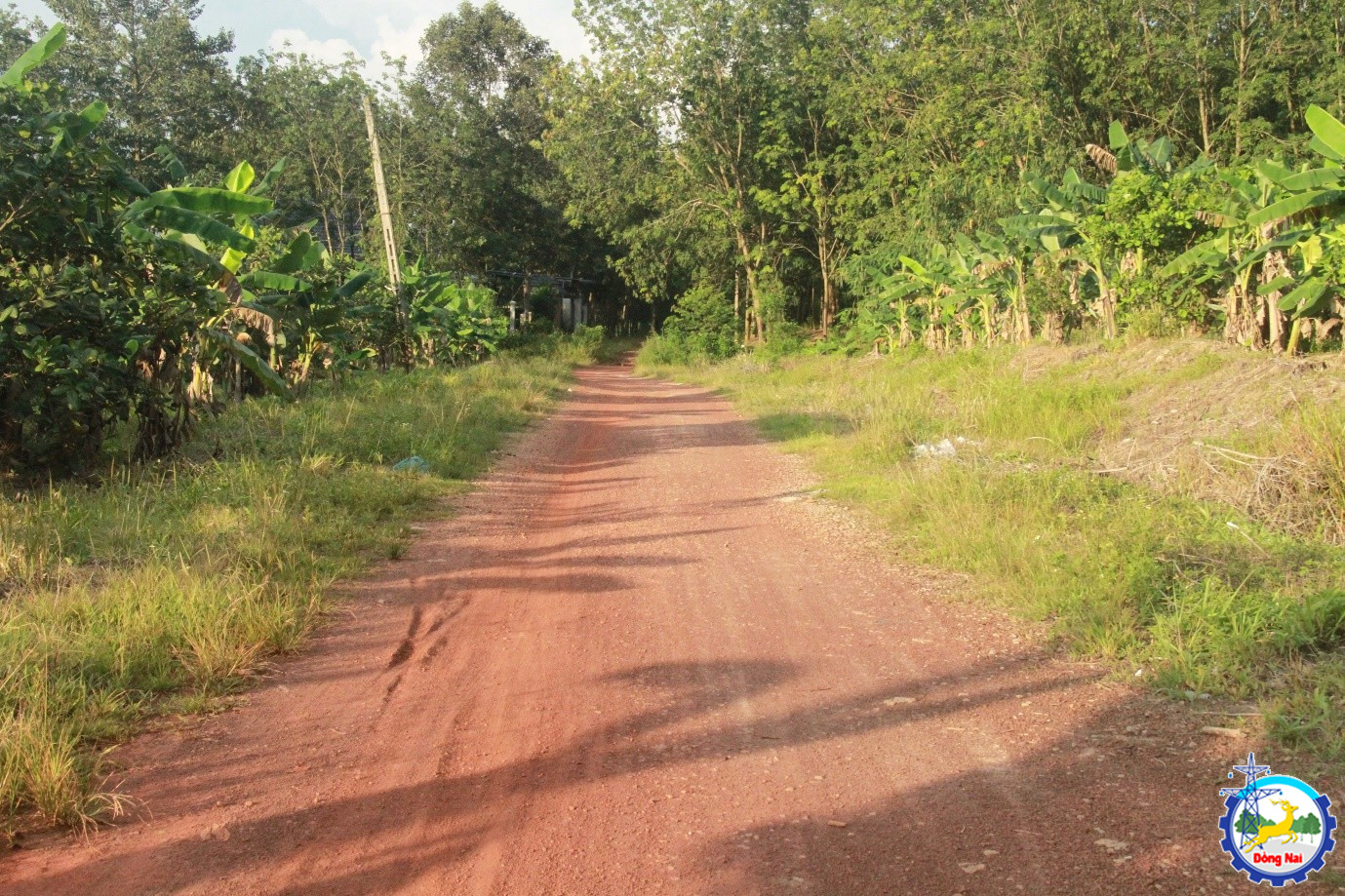 khao sat duong phuong 8